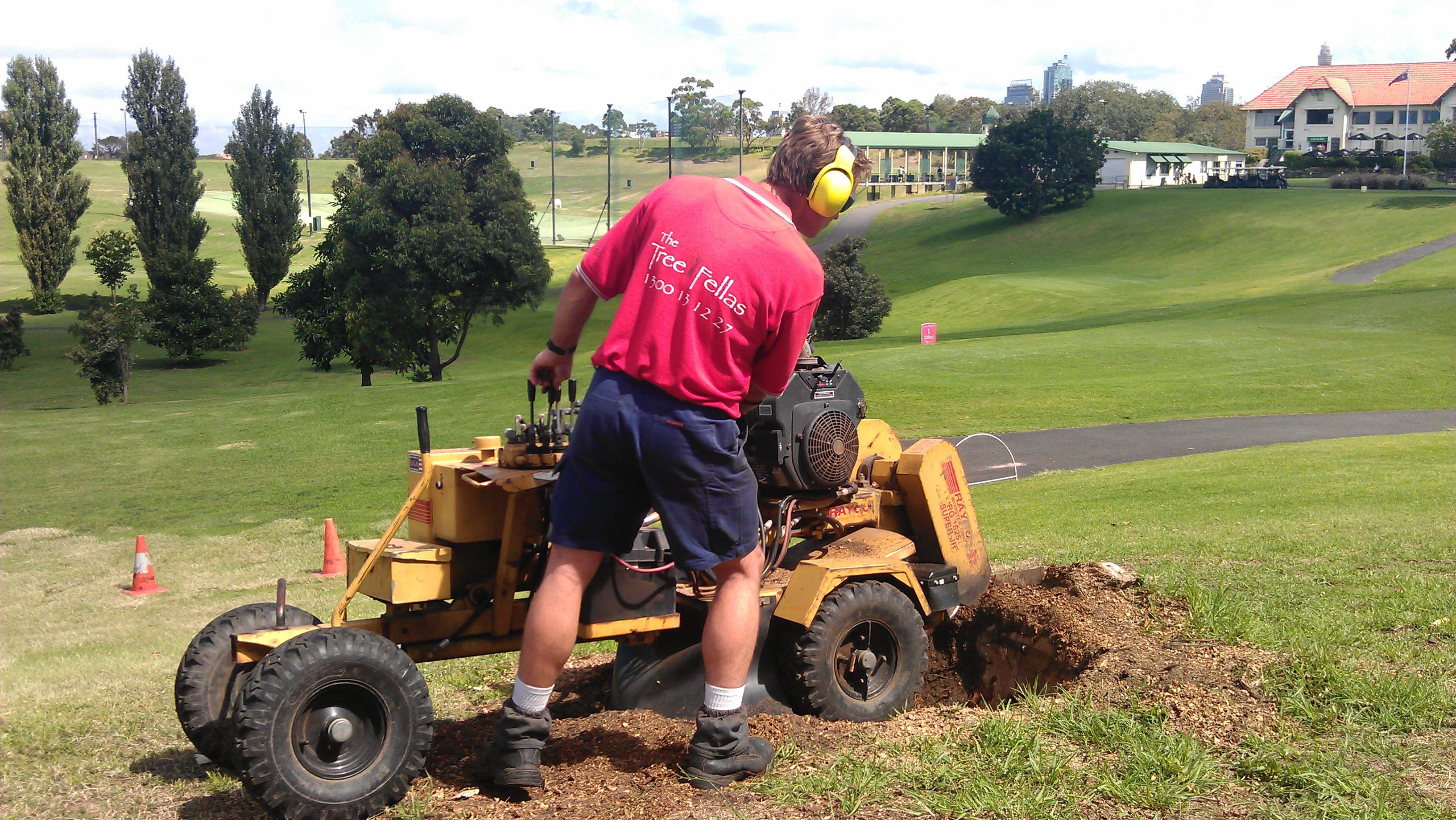 Stump Grinding at Moore Park GC